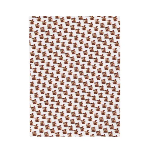 Plush Blanket
