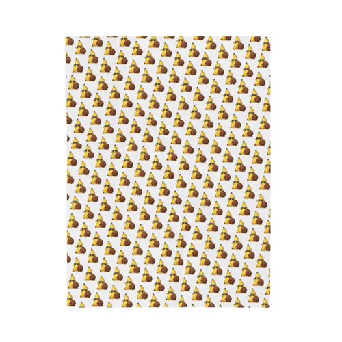 Plush Blanket