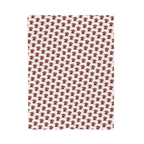 Plush Blanket
